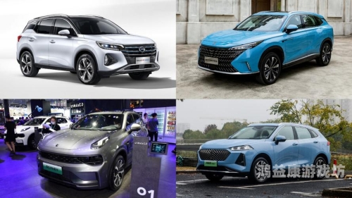 亚洲精品国产一线永久，探索中国制造业的崛起与未来国产亚中