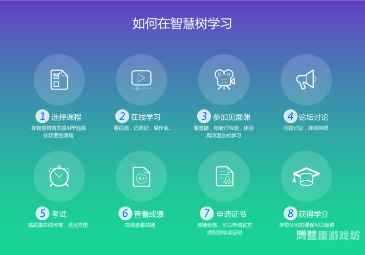 国产00后高中生在线教育平台的无缝接入与未来发展