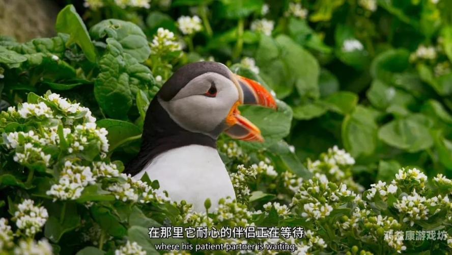 99色在线视频99色在线视频，探索多彩视觉世界的无限可能