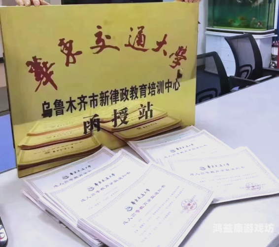 成人中文在线，提升语言技能的新趋势与实用指南成人中文在线观看五码二区三区