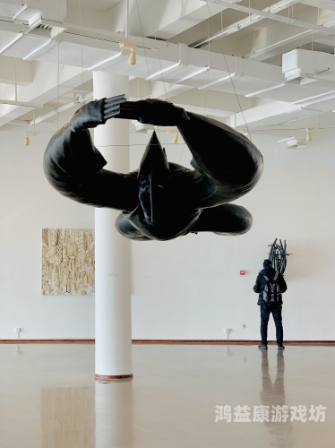 欧美日本国产人妖综合视频，文化差异与艺术表达的多元探索