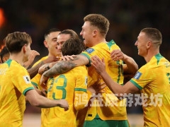 在线观看亚洲AC，平台推荐、使用指南与安全提示在线观看亚洲杯