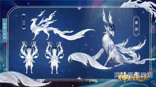 凡人长生录，探寻人类寿命的奥秘与延寿之道凡人长生录免费阅读