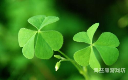 蚂蚁庄园，为好友种下希望的麦穗蚂蚁庄园给好友种麦子会显示收吗