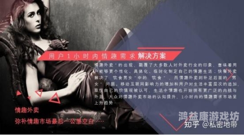 国产情趣视频一区二区，市场现状、用户需求与未来发展趋势分析国产一区间二区