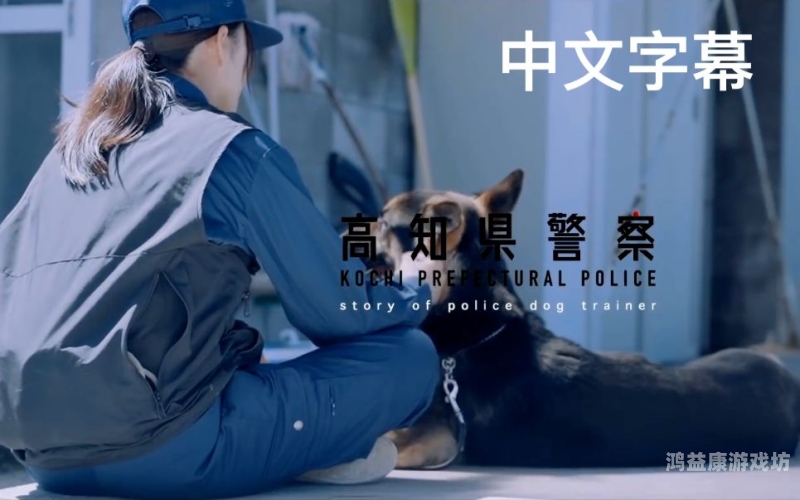 日本成年人中文字幕，文化传播与市场需求的双重驱动日本中字幕网