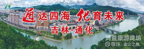 国产中文视频国产中文视频的崛起与发展，从内容创新到全球影响力