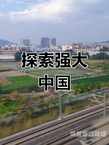 国产人成精品在线最全资源国产人成精品在线最全资源，探索中国影视作品的崛起与未来