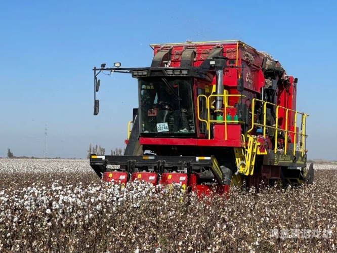 亚洲国产综合性网站崛起，探索本土化内容与全球化的平衡亚洲综合症