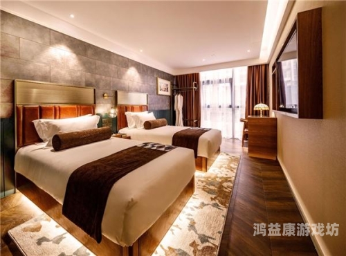 久久精品视频酒店久久精品视频酒店，打造极致住宿体验的典范