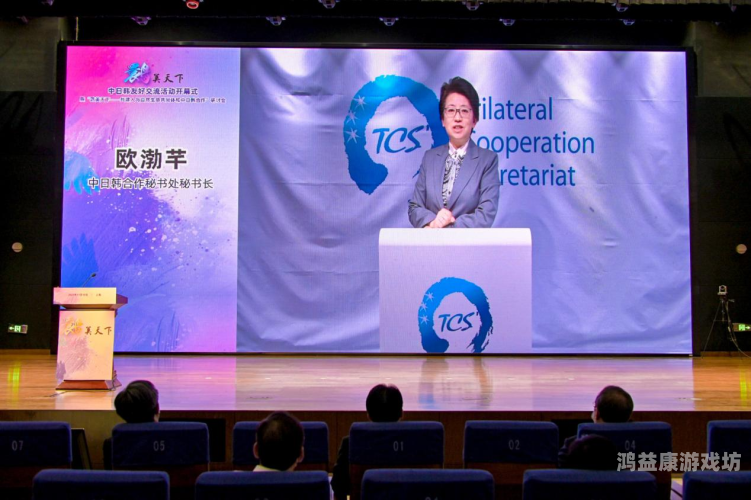 中日韩文化交流新篇章，中文无码337背后的深意与影响