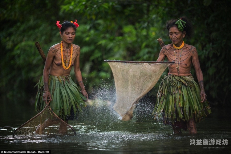 亚洲无遮拦无码AV亚洲无遮拦无码AV，探讨其社会影响与法律风险