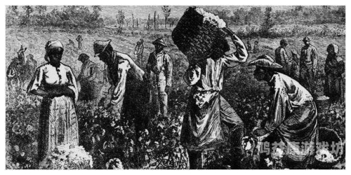 黑人无码精品又粗又大又长探索黑人文化的多元性与艺术表达，从音乐到视觉艺术的全方位解读