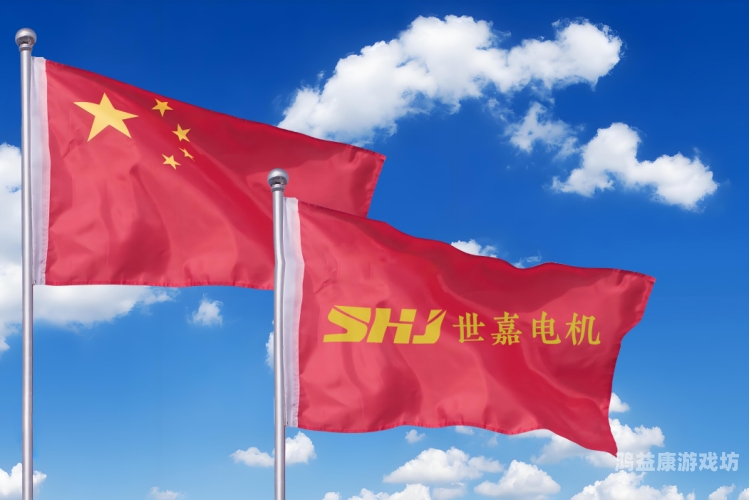 久久精品国产只有精品1，探索中国制造的卓越品质