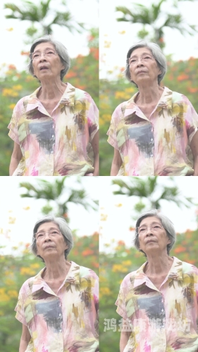 日本超熟老妇视频在线，探讨老年人在数字时代的媒体参与