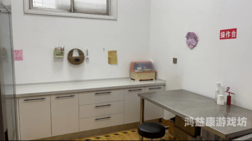 日韩一区二区三区不卡日韩一区二区三区不卡，深度解析日韩影视分区及其背后的文化差异