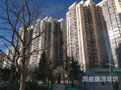 一区二区无码激情一区二区无码激情，网络内容分级与监管的探讨