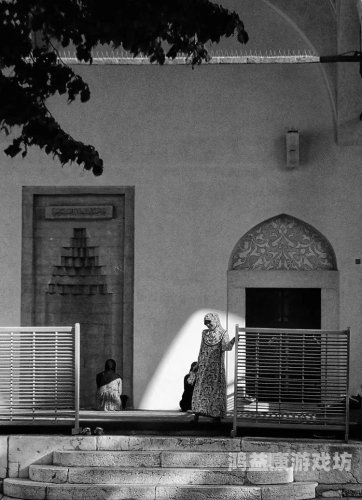 国产一级毛片大陆片看看，探讨中国电影市场的多元化发展