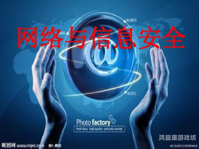 日本V片在线观看，法律、道德与网络安全的全面解析