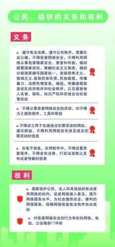 日本V片在线观看，法律、道德与网络安全的全面解析