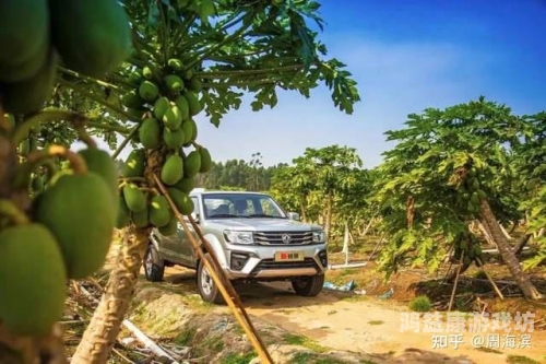 婷婷夜夜人人六月，揭秘网络热词背后的社会现象与文化解读