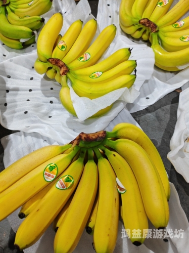 精品国产一区二区三区香蕉，品质与口感的完美结合国产一区间二区