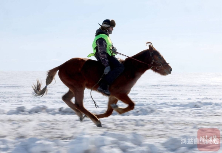 欧美无马欧美无马，探索无马赛马运动的兴起与发展