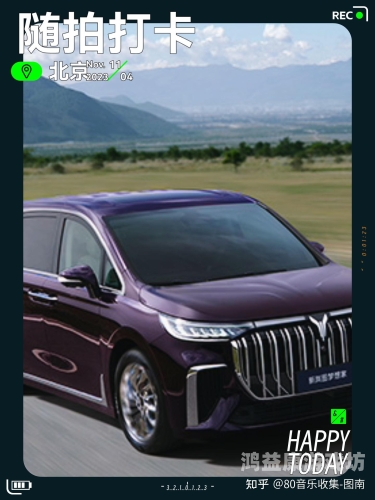 国产精品精品自产国产精品自产崛起，品质与创新的双重保障