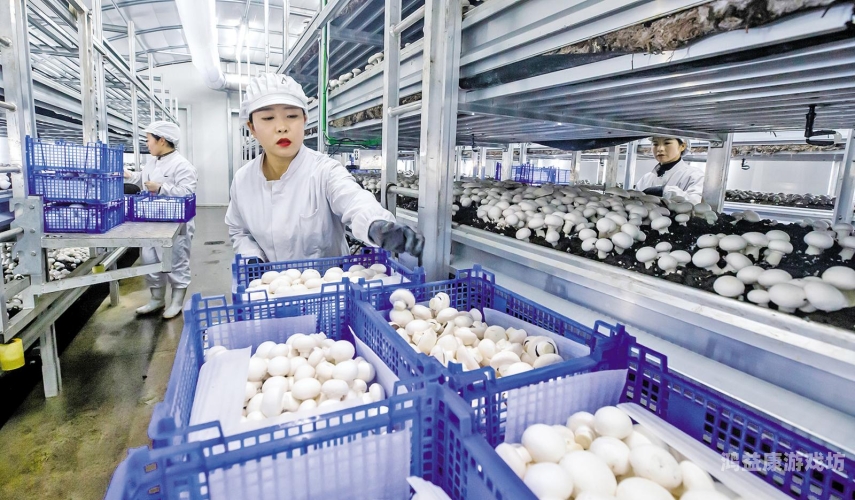 97超碰国产时青草97超碰国产时青草，探索中国本土农业的绿色革命