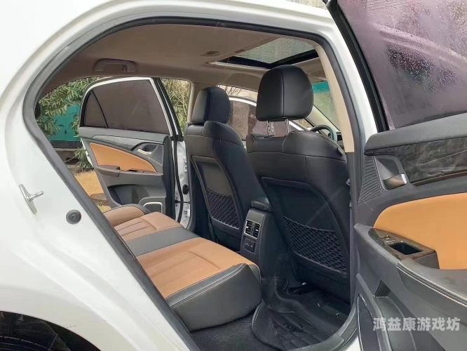 精品无码久久久久久久久成人精品无码久久久久久久久成人，探讨成人内容的市场趋势与影响