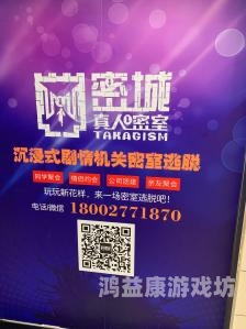 国产精品码一区二区密挑，深度解析与市场趋势