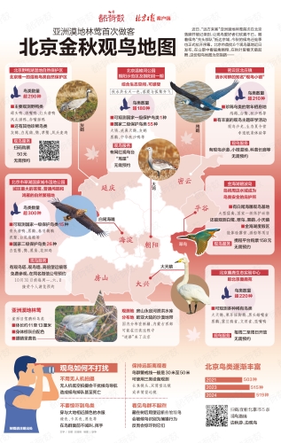 亚洲AV产业现状与无码精品的发展趋势分析