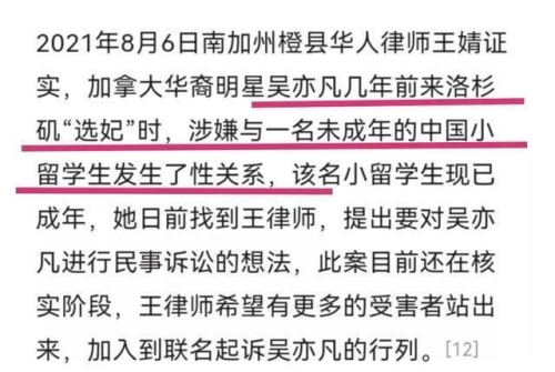 日本免费一级高清婬曰本片日本免费一级高清影片的现状与法律风险解析