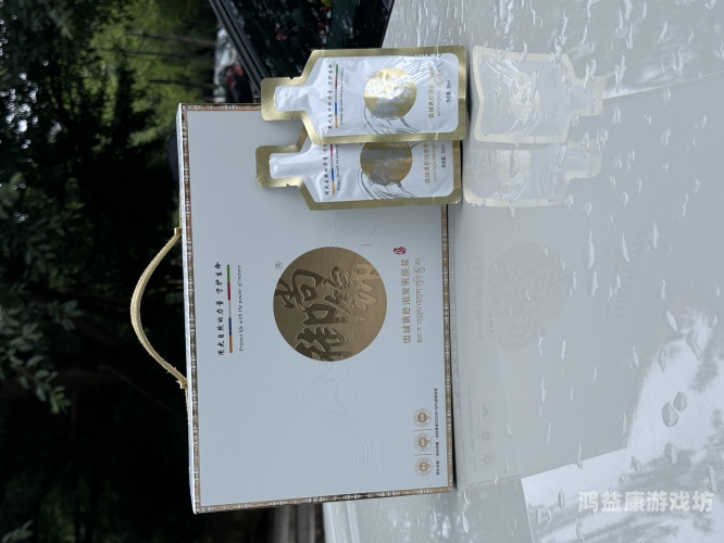 国产综合色在线视频区国产综合色在线视频区，探索中国在线视频平台的发展与未来