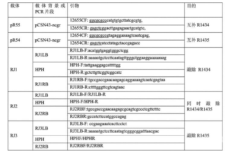 在线观看AV无毒网站如何安全在线观看AV？无毒网站推荐与防范指南