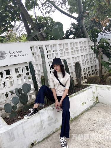 91精品欧美综合在线野草社区91精品欧美综合在线野草社区，探索多元化数字内容平台的崛起