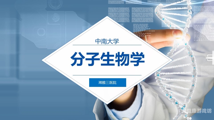 国产久9视频，精品内容的崛起与未来展望