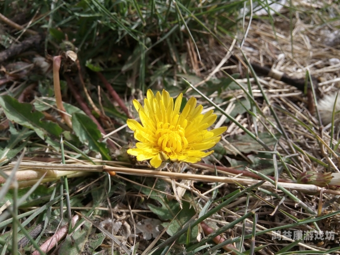 新国产福利视频免费上线，引爆网络热议！国产的负费拍福利短视