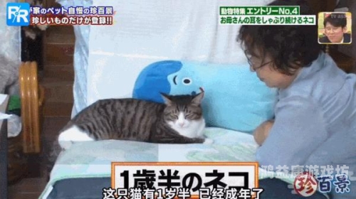 揭秘深夜视频热潮，男女午夜爽爽爽背后的心理与社会现象男女午夜爽爽爽的视频