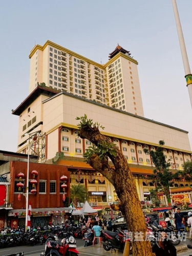 欧美亚洲另类专区探索全球文化，欧美亚洲另类专区的独特魅力