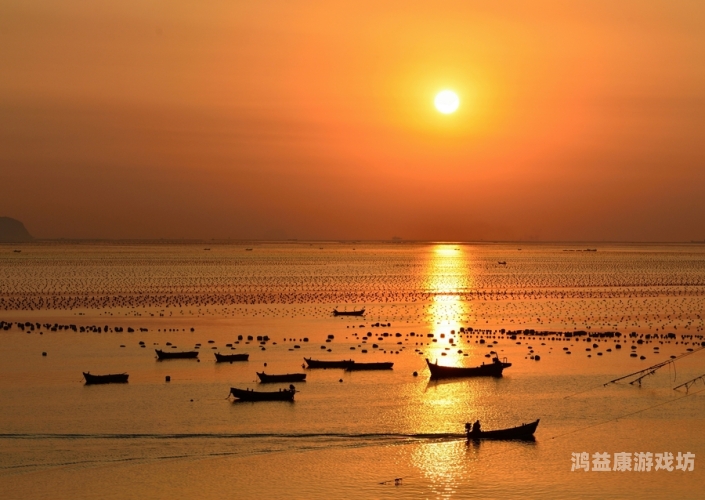 一道本高清不卡 一道本高清不卡，解析高清视频流畅播放的技术与未来趋势