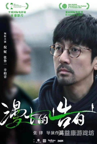 久久精品国产色成，中国电影产业的崛起与挑战