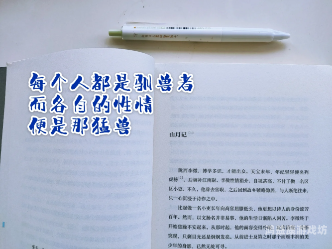 探索亚洲男性文化，从传统到现代的多元视角亚洲男人的天堂AV好莱摸