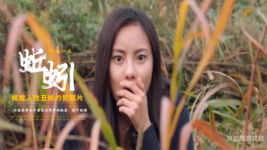 97碰对免费精品视频，探索高质量在线视频资源的秘密