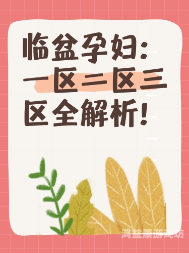 一区二区三区无码高清一区二区三区无码高清，探索电影分级制度与高清观影体验