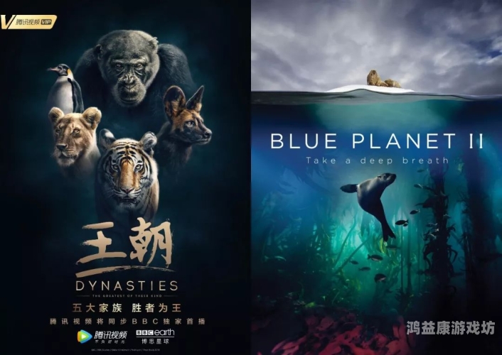 久久精彩国产视频，探索中国影视产业的崛起与未来