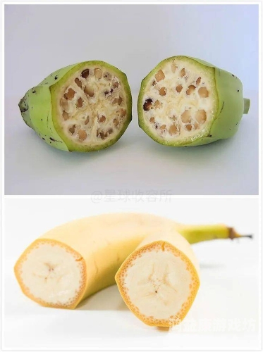 香蕉在线手观看视频香蕉在线手观看视频，探索视频平台的新趋势与用户体验