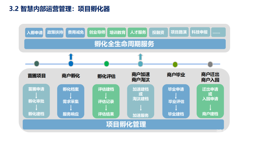 一区深入解析一区，概念、应用与未来发展