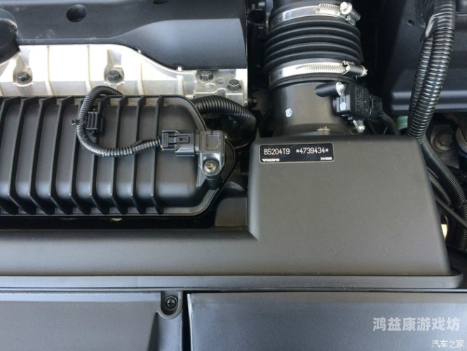 在线观看人成www精品在线观看人成www精品，探索高清影视资源的便捷之路