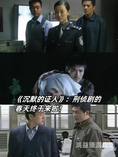 亚洲国产综合精品二区，探索国产影视剧的崛起与未来